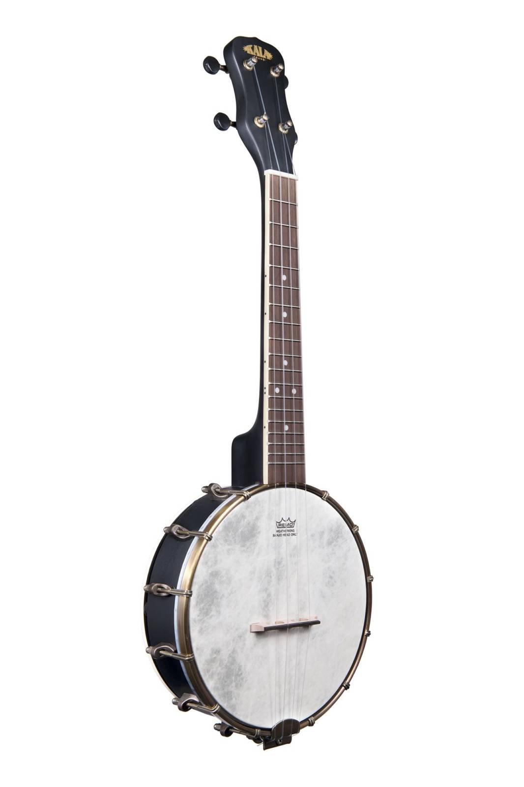 aria banjo identification