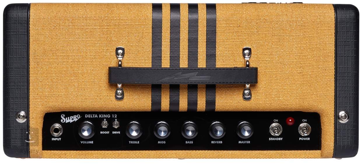 delta king 12 amplifier