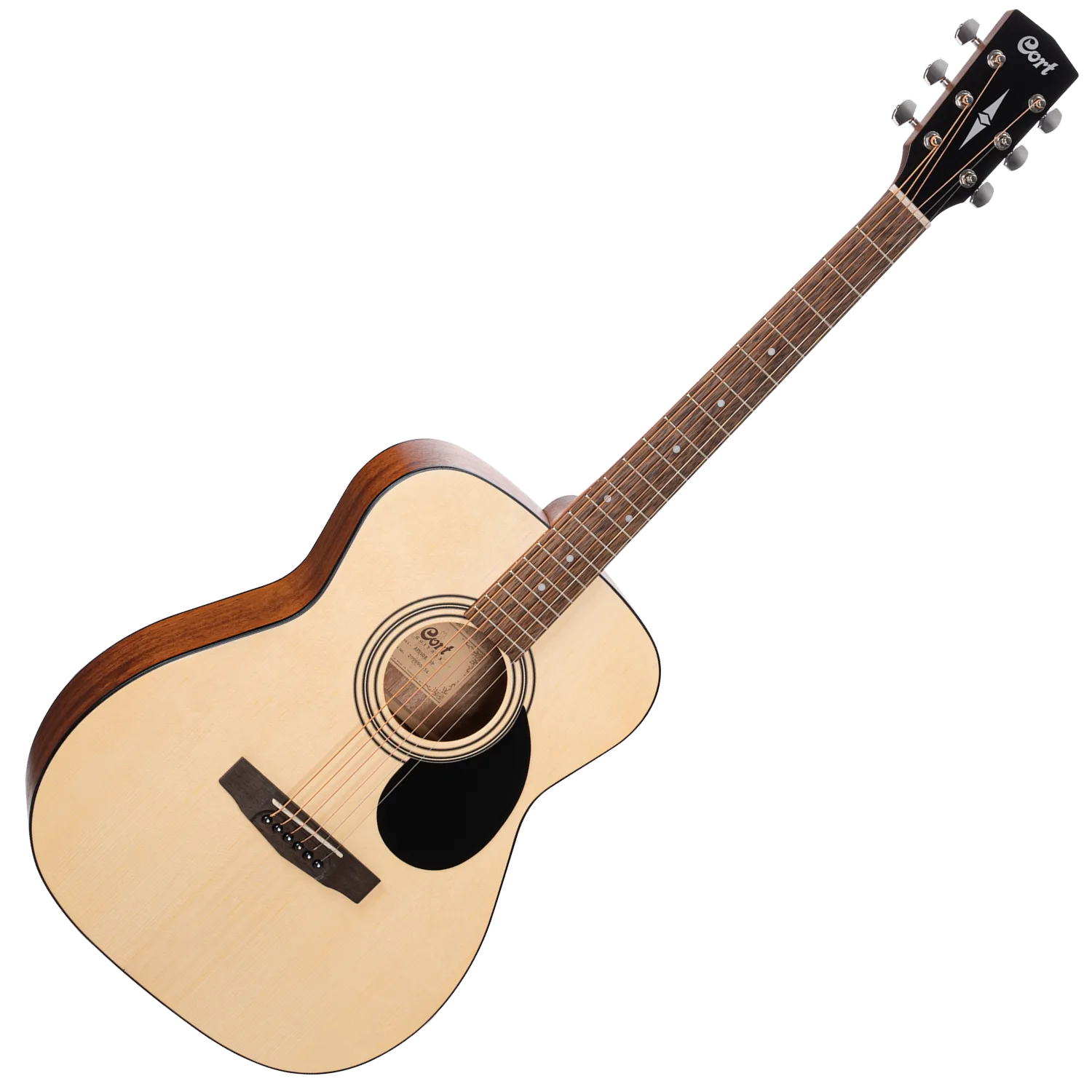 Cort AF510 美品美音 スタンド他付属 Cort AF510 美品美音 スタンド他付属