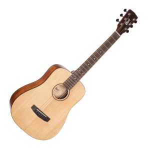 Furch Blue Dc-SW Acoustic Guitar - The Guitar Gallery, Auckland