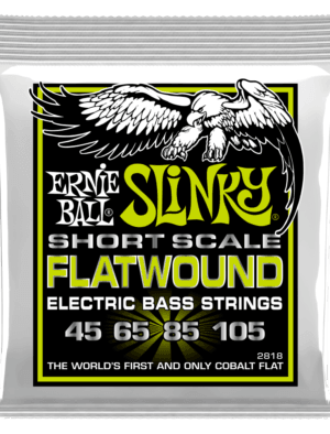 Ernie Ball Regular Slinky Cobalt Flatwound Short Scale 45-105