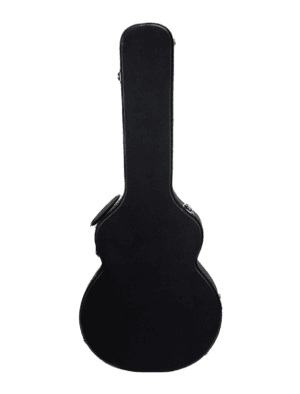 Woody 335 Electric Case