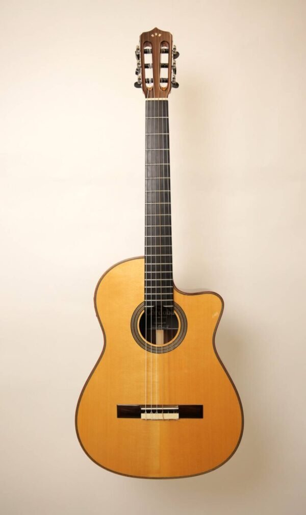 Used - Cordoba Fusion Orchestra CE