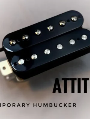 Mr Glyn's Attitude 6 or 7 String Humbucker