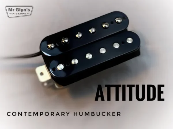 Mr Glyn's Attitude 6 or 7 String Humbucker