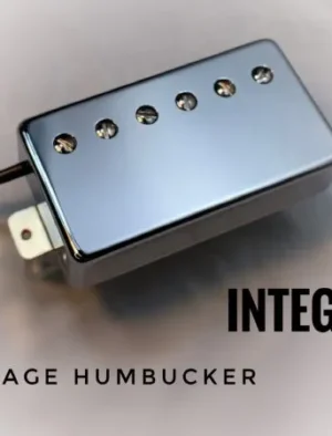Mr Glyn's Integrity PAF Humbucker