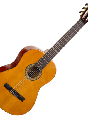 Valencia Classic 4/4 Gloss