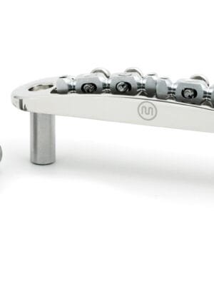 Mastery AOM M10.1 Bridge