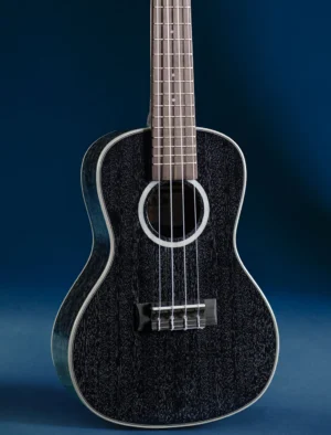 Kala All Solid Salt n Pepper Concert Uke