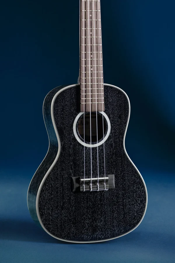 Kala All Solid Salt n Pepper Concert Uke