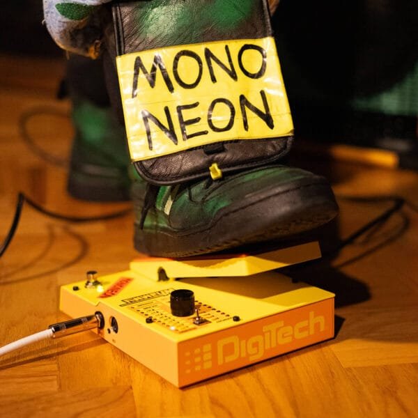 Digitech Mononeon Signature Whammy Pedal - Image 9