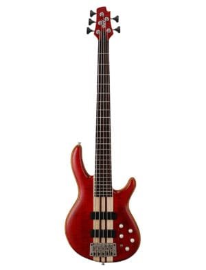 Cort Artisan A5 Plus w/Bag - Open Pore Black Cherry