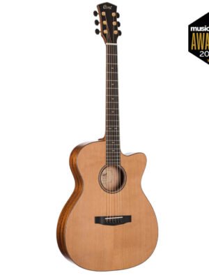 Cort Flow OC - L.R Baggs - W/Case