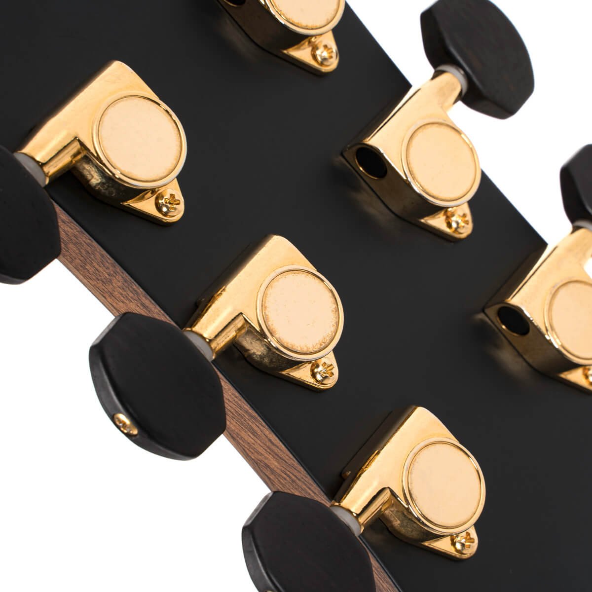 Cort Flow OC - L.R Baggs - W/Case - Image 10