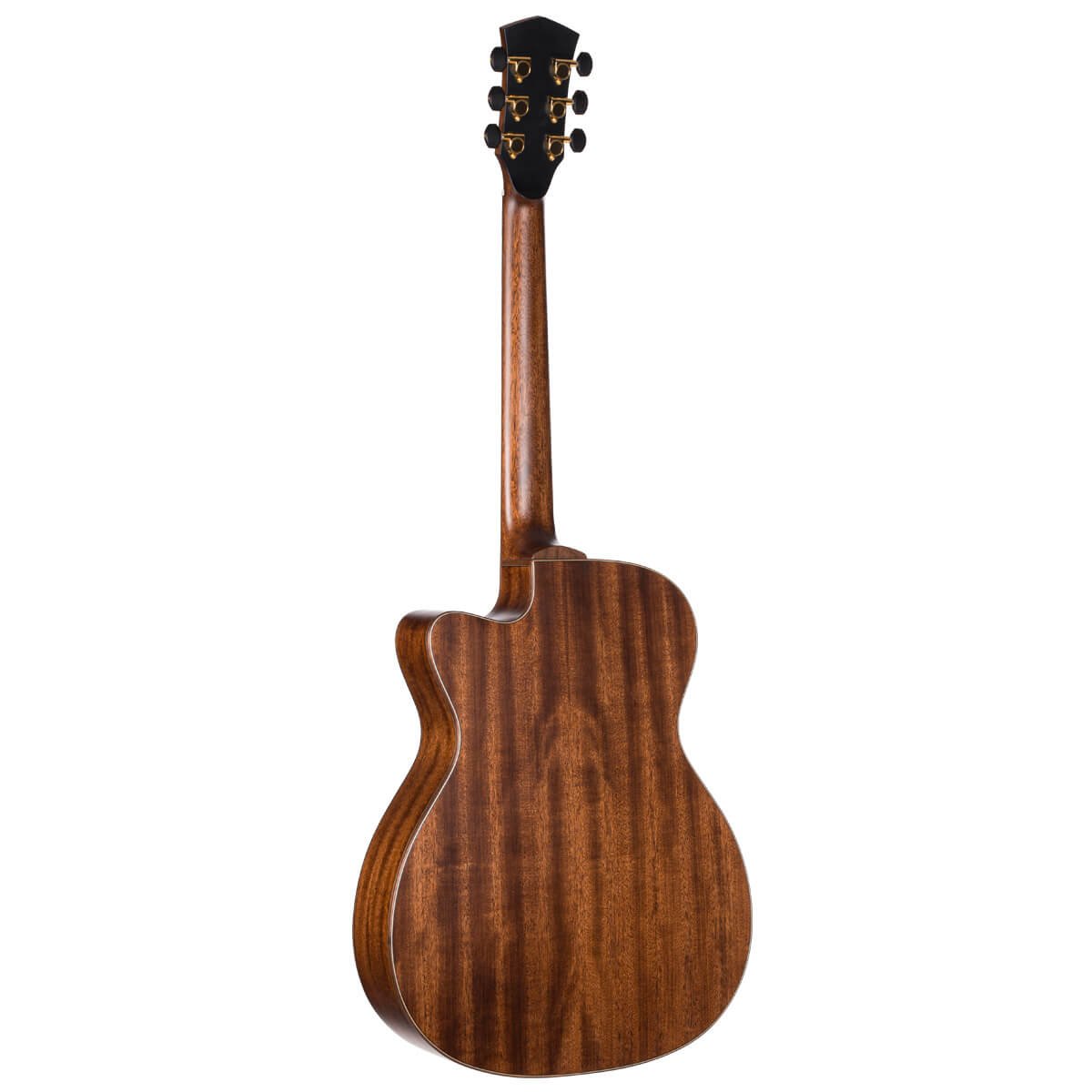 Cort Flow OC - L.R Baggs - W/Case - Image 2