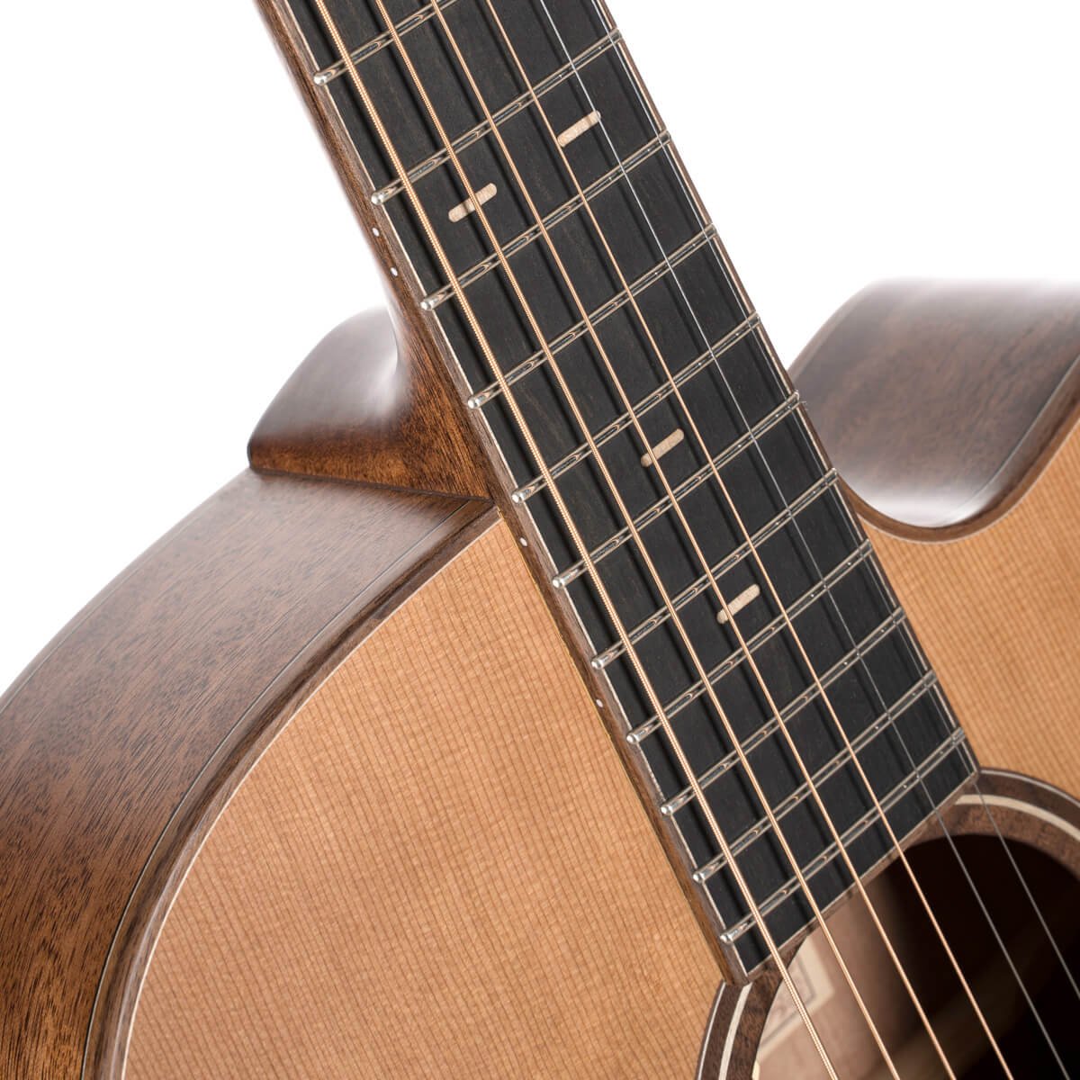 Cort Flow OC - L.R Baggs - W/Case - Image 5