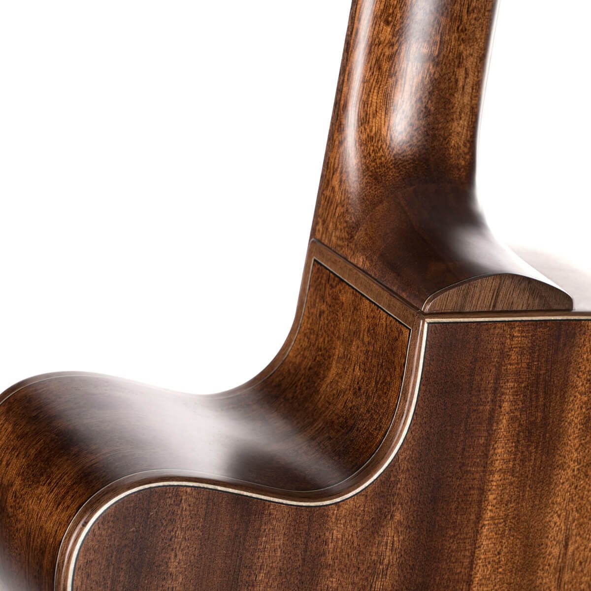 Cort Flow OC - L.R Baggs - W/Case - Image 7