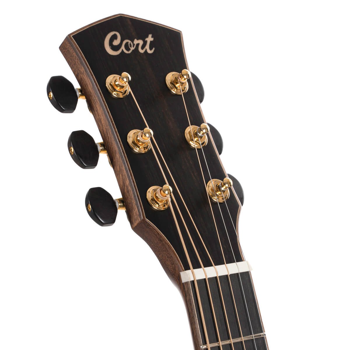 Cort Flow OC - L.R Baggs - W/Case - Image 9