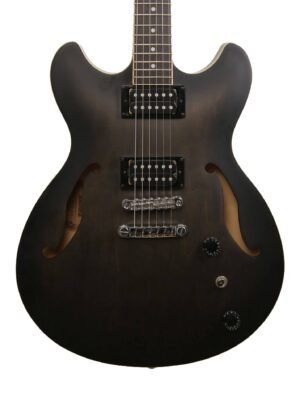 2025 Ibanez AS53-TKF