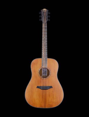 Bromo BAT1M Dreadnaught w/Solid Mahogany Top