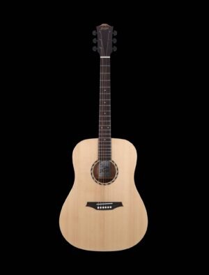 Bromo BAT1N Dreadnaught w/Solid Top