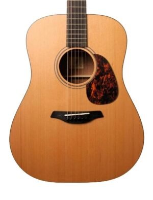 Furch Blue - D-CM Guitar