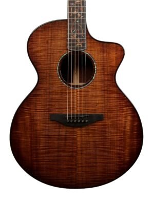 Fenech Masterbuilt Grand Auditorium Cutaway