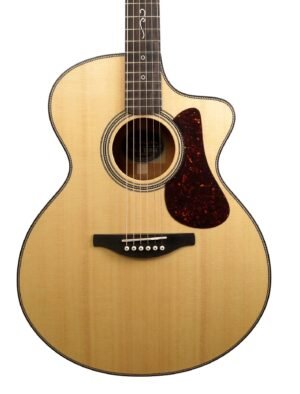 Fenech True Tone Grand Auditorium Cutaway