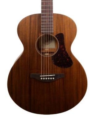 Fenech Vintage Series Auditorium
