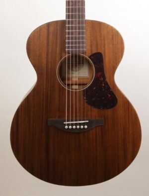 Fenech Vintage Series Auditorium